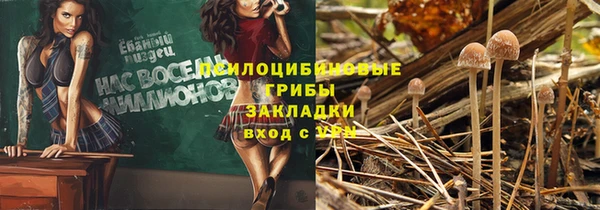 spice Балабаново