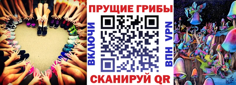 купить наркотик  Козьмодемьянск  blacksprut ONION  Псилоцибиновые грибы MAGIC MUSHROOMS 