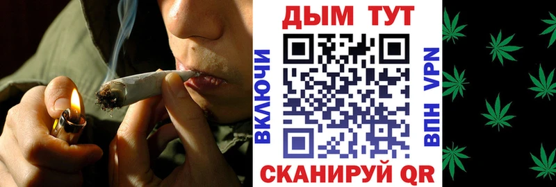 продажа наркотиков  Козьмодемьянск  Бошки Шишки SATIVA & INDICA 